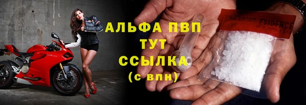 прущие грибы Тобольск