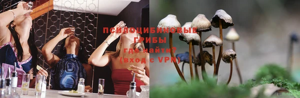 прущие грибы Тобольск