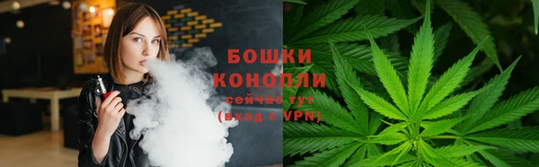 ГАЛЛЮЦИНОГЕННЫЕ ГРИБЫ Тихвин