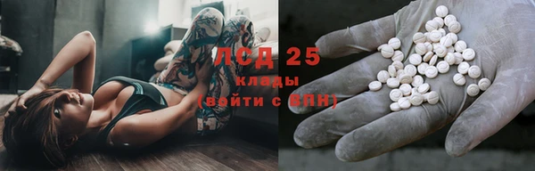 гидра Верея