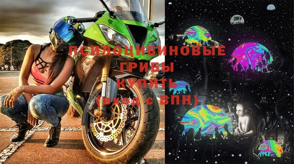 гидра Верея