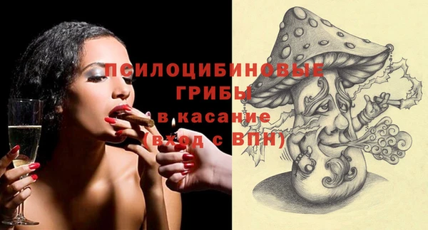 ГАЛЛЮЦИНОГЕННЫЕ ГРИБЫ Тихвин